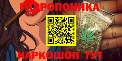 спайс Будённовск