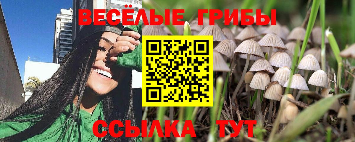 Псилоцибиновые грибы ЛСД  Вход с VPN  даркнет сайт  Щёкино 
